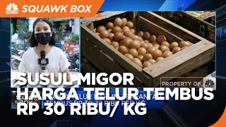 Susul Minyak Goreng, Harga Telur Tembus Rp 30 Ribu/Kg