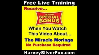 Chris Bush Says Watch This ⭐FREE Miracle Moringa LEADS⭐|Miracle Moringa Training Scam Demo Review