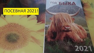 Очень удачно выбрала дату для первых посевов 2021 года! 