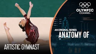 Anatomy of a Gymnast: Are They The Most Flexible Athletes on Earth?