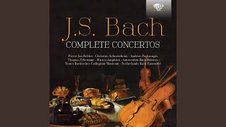 Brandenburg Concerto No. 5 in D Major, BWV 1050: I. Allegro