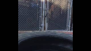 Daughter motivates Dad to lift tire