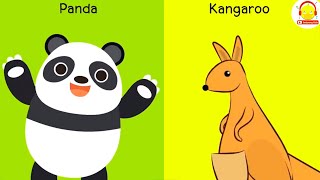 แพนด้ารวมร่างกับจิงโจ้ Panda Kangaroo Fusion Animation +เพลงแพนด้า เพลงจิงโจ้