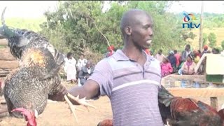 The little know but locally famous Baringo chicken auction