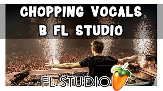Играем вокалом в FL Studio (Как у Martin Garrix)
