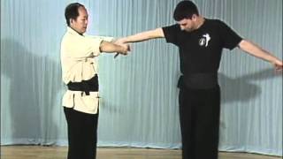 Tai Chi, Тай чи Ч11 Dan Zhi, Duo Zhi Wo 6, рычаг пальцев