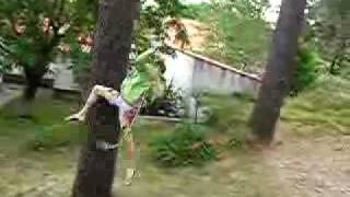 ipe vs. un arbol