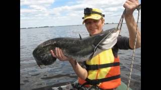 Спиннинг Bass Pro Shops Bionic Blade BNB70MS-2 .