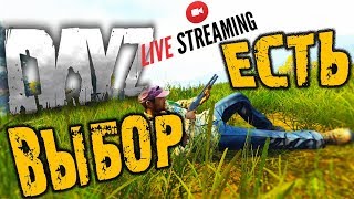 DAYZ ➤ ВЫБОР ЕСТЬ ➤ ВЫЖИВАНИЕ ПВП | ПВЕ ➤ дейзи обзор ?