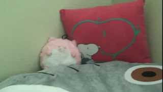 Tour of my room