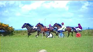SYNOD INN HARNESS RACES 2000 BABY NOVICE RACE 1
