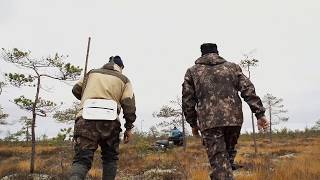 Охота на гуся.Осень 2017.Архангельск. Hunting for a goose 2017.Национальная Лига Охоты.