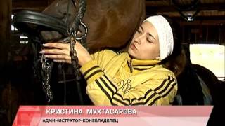 Конный спорт