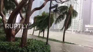 USA: Floodwaters surge into Miami as Hurricane Irma batters Florida