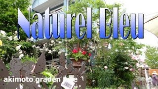 日立市In邸 (Naturel Bleu 2010年)' Garden : 秋元園芸
