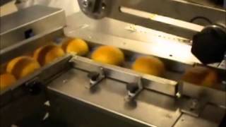 Karataş Makina Roll Ekmek Ambalajlama Makinası
