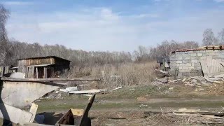 заброшенные дачи Омск