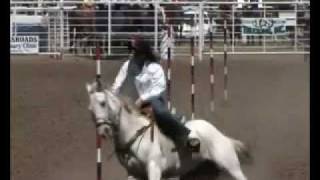 Western Disciplines - Reining, Cutting, Barrel Racing, Western Pleasure, Roping, Pole Bending, Trail