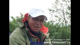 Фидер и болонская снасти - противостояние (т)