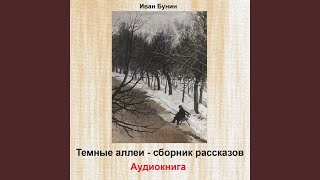 Камарг