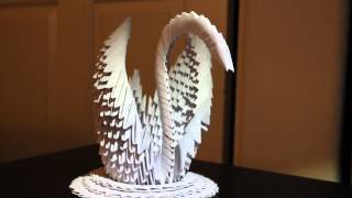 Sahara Swan Presentation