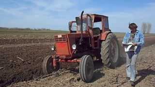 Belarus t 40