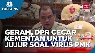 DPR Cecar Kementan Untuk Jujur Soal Asal Virus PMK