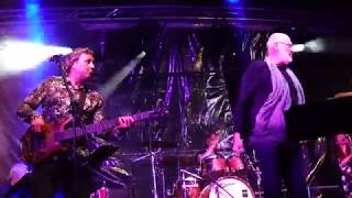 Fish - Pipeline - 2019-08-31 Craigie Hill Fest, Perth (5 of 6)