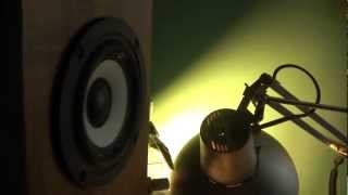 W3-315E in Quarter Wave box - Bass i love you