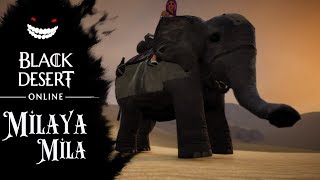 BLACK DESERT ЗОЛОТЫЕ МОНЕТЫ ПУСТЫНИ