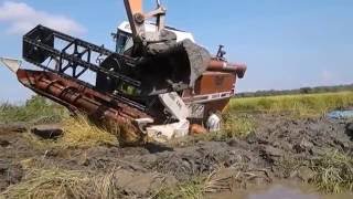 extreme rice harvesting combine stuck in mud new compilation 2016. New Holland , Hitachi