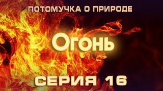 Потомучка о природе 16. Огонь