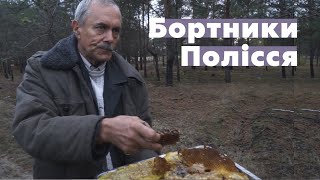 Бортники Полісся. Про вулики, що рятують ліс та чому мед смертельний...