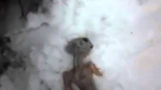 КРУШЕНИЕ НЛО . ТРУП ИНОПЛАНЕТЯНИНА . ЖУТКОЕ ЗРЕЛИЩЕ .
