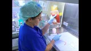 Maticne celije, transplantacija, Prof Dr Nadezda Basara, RTS Jutarnji program