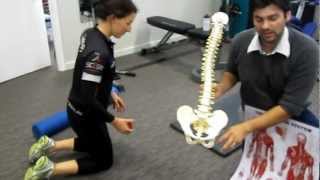 Hip exercises, stretches for back, stretches for hip, foam roller exercise pain