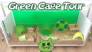 T-Rex' Green August Hamster Cage Tour