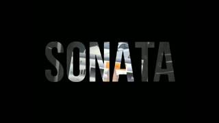 Штатная автомагнитола в стиле Tesla Huyndai Sonata