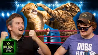Cat Wrestling Federation - Off Topic - #354