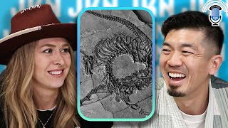 Scientists Baffled After Discovering 240 Million-Year-Old Dragon
