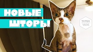 VLOG: НОВЫЕ ШТОРЫ