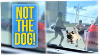 Woman Uses Pet Dog on Leash in Road Rage Incident