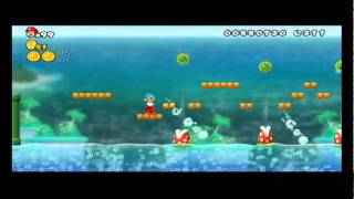 newスーパーマリオブラザースwiiを改造してみた5＿流れるプール