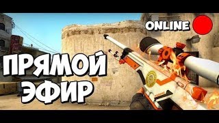 100 ЧАСОВОЙ СТРИМ // КС ГО И ПАБГ С ДОБРОЙ ГОВОРЯЩЕЙ СОБАКОЙ // СТРИМ ПО CS:GO
