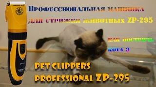 Машинка для стрижки животных ZP-295 кошек собак | Pet clippers  professional zp-295 Aliexpress