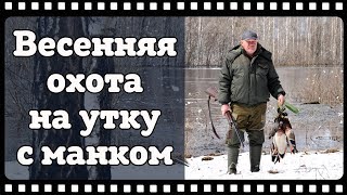 Охота на утку зимой. Утренний сюрприз от Сибирской природы.