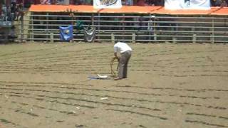 bullwhip Man Prof