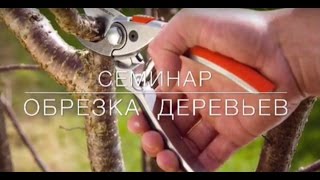 Семинар в агропарке «Долина мечты»: «Обрезка деревьев: яблони»