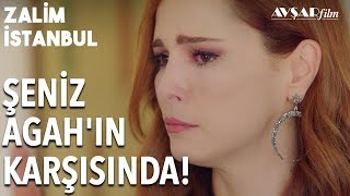 Beni Sırtımdan Vurdun! Şeniz Ne Yapacak? | Zalim İstanbul 13. Bölüm
