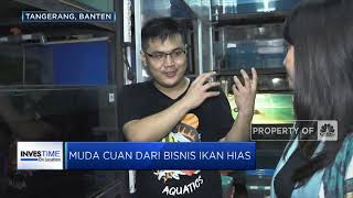 Masih Muda Cuan Dari Bisnis Ikan Hias